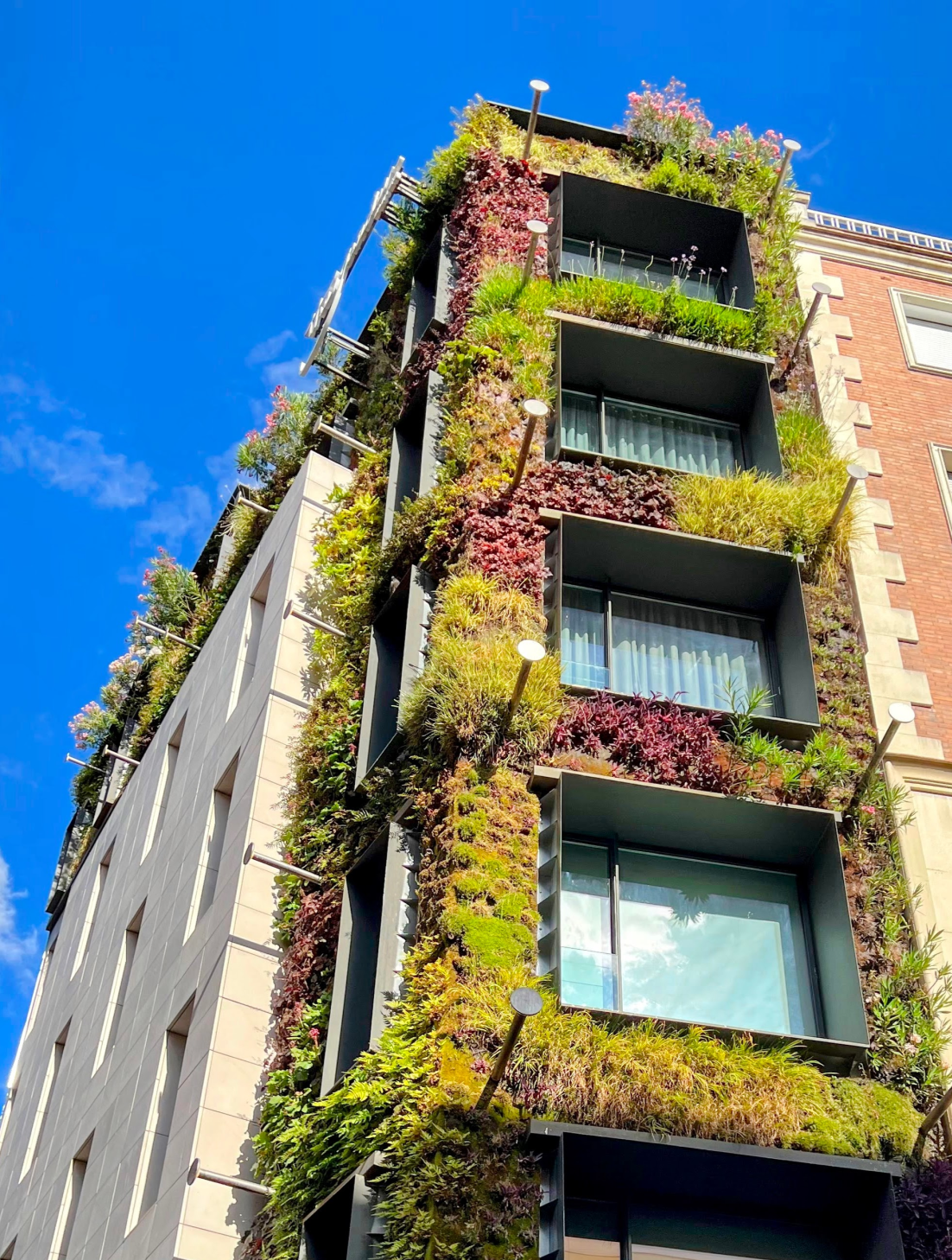 Vue aérienne d'un quartier résidentiel